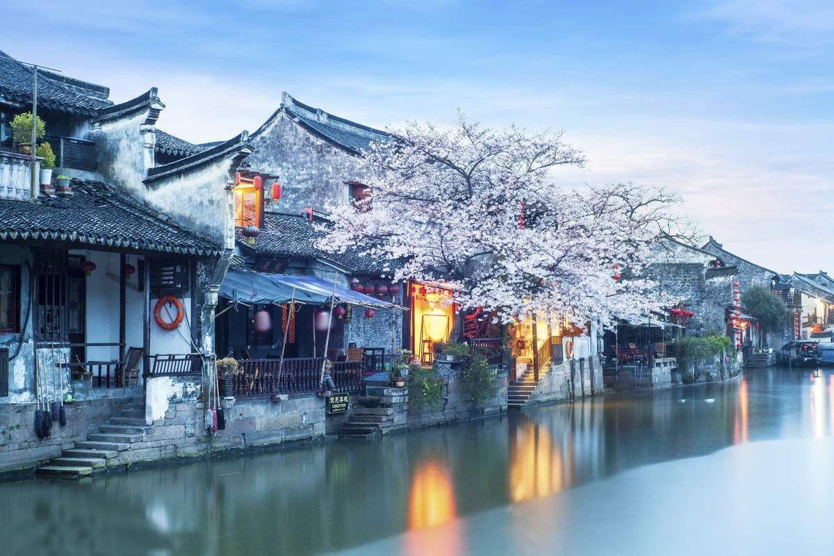 森迪公主夏日度假